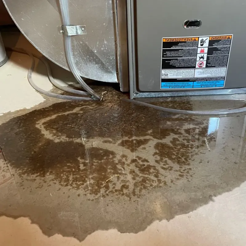 Pipe Burst and Leak Restoration in Mineral County, CO